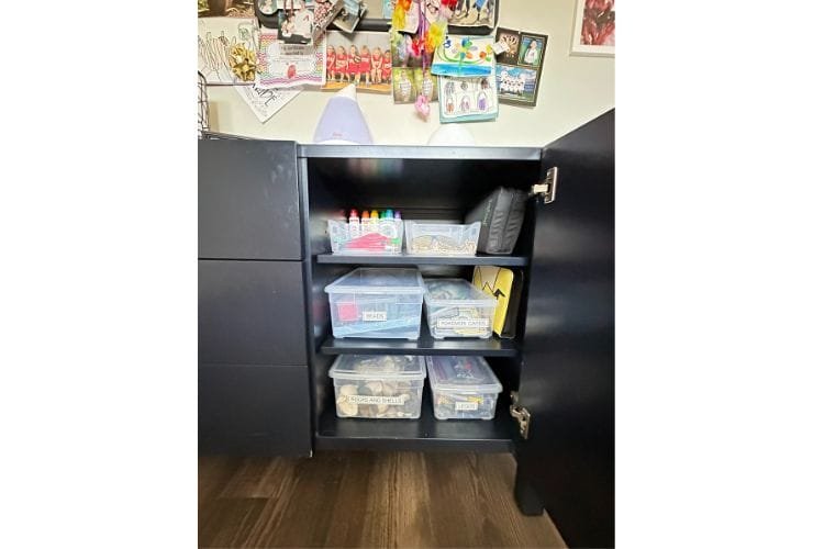 A black cabinet with several bins, perfect for closets or a professional organizer.